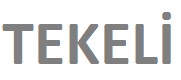 TEKELİ DEMİR ÇELİK – Sezgin TEKELİ